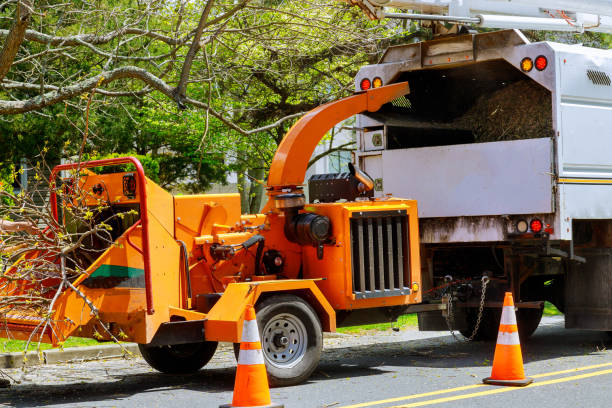 Best Tree Mulching  in Centerville, TN